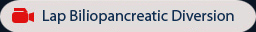 Lap Biliopancreatic Diversion